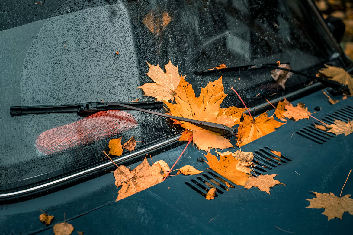 Rugsėjo mėnesio draudimo naujienų apžvalga: rudens keliai, mokslo metai ir audrų žalos